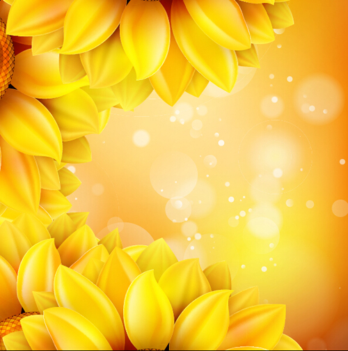 Sunflower flower with bokeh vector background 17 Sunflower flower with bokeh vector background 17