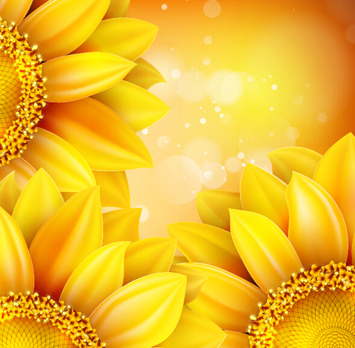 Sunflower flower with bokeh vector background 18