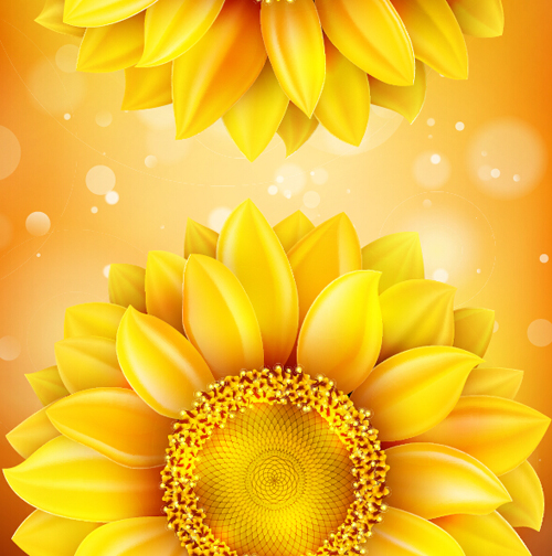 Sunflower flower with bokeh vector background 19 Sunflower flower with bokeh vector background 19