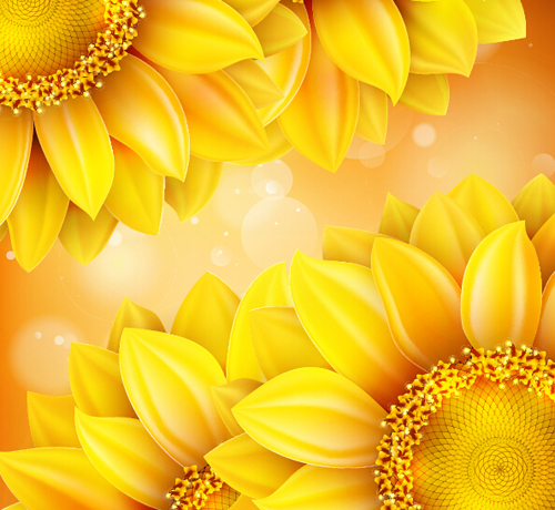 Sunflower flower with bokeh vector background 20 Sunflower flower with bokeh vector background 20