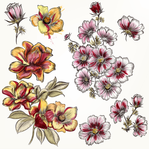 Vector hand drawn flowers set 01 Vector hand drawn flowers set 01