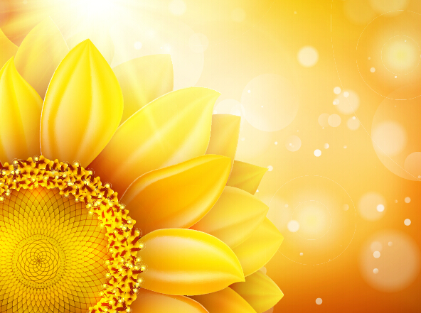 Sunflower flower with bokeh vector background 01 Sunflower flower with bokeh vector background 01