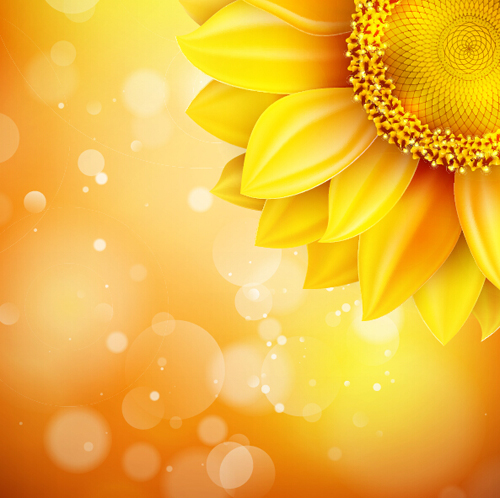 Sunflower flower with bokeh vector background 02 Sunflower flower with bokeh vector background 02