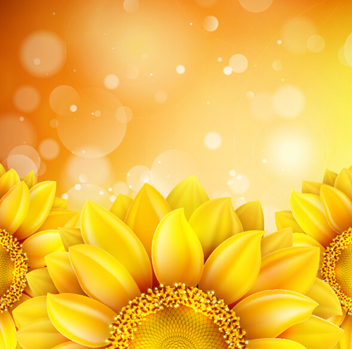 Sunflower flower with bokeh vector background 03 Sunflower flower with bokeh vector background 03