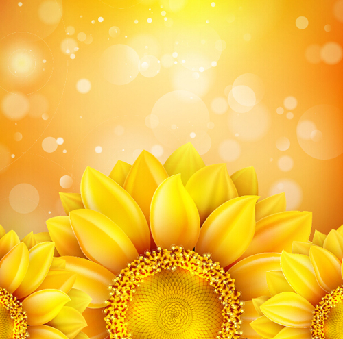 Sunflower flower with bokeh vector background 05 Sunflower flower with bokeh vector background 05