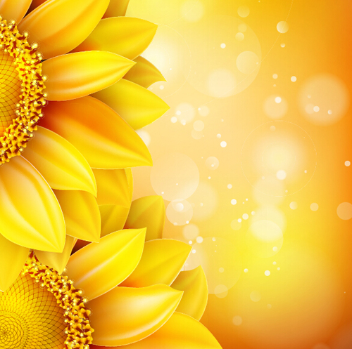 Sunflower flower with bokeh vector background 06 Sunflower flower with bokeh vector background 06
