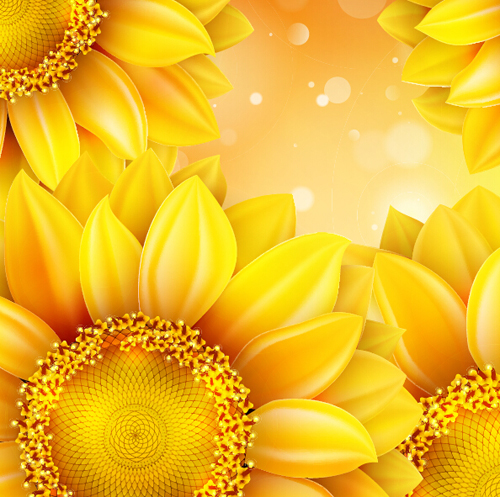 Sunflower flower with bokeh vector background 12 Sunflower flower with bokeh vector background 12