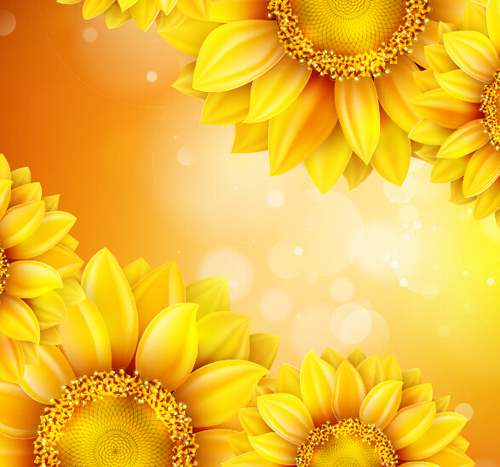Sunflower flower with bokeh vector background 14 Sunflower flower with bokeh vector background 14