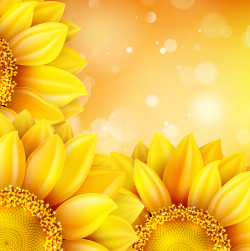 Sunflower flower with bokeh vector background 15 Sunflower flower with bokeh vector background 15