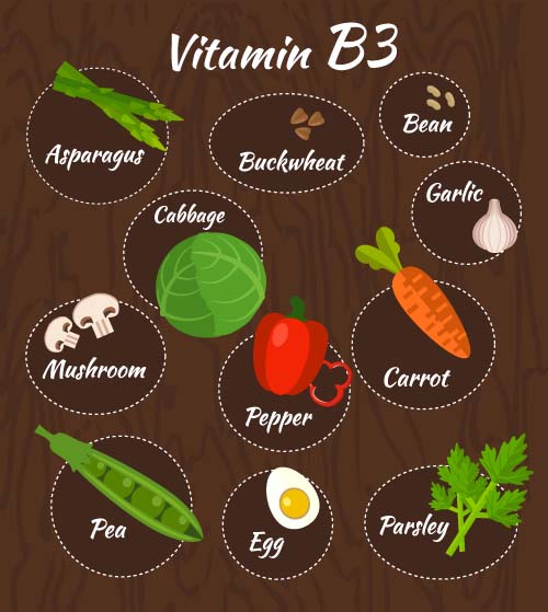 Vitamin with healthy diet vector material 06