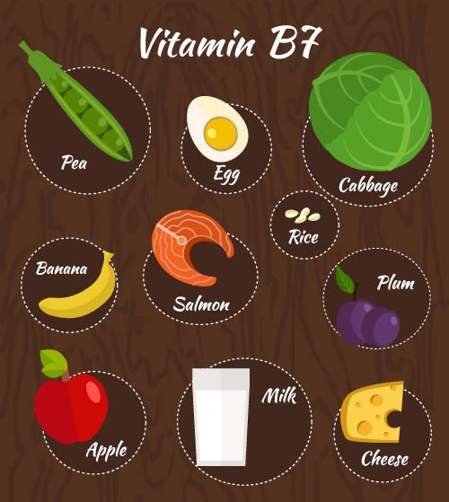 Vitamin with healthy diet vector material 07 Vitamin with healthy diet vector material 07