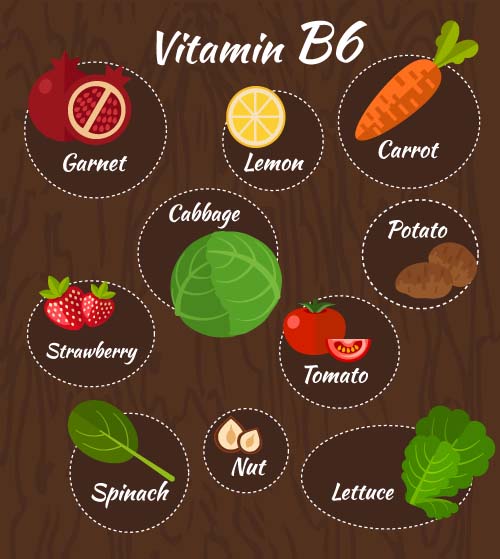 Vitamin with healthy diet vector material 08
