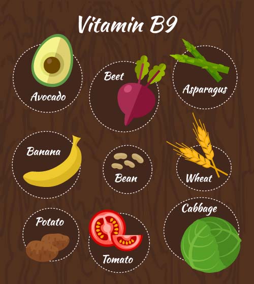 Vitamin with healthy diet vector material 09 Vitamin with healthy diet vector material 09