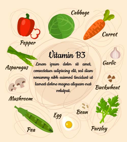 Vitamin with healthy diet vector material 03 Vitamin with healthy diet vector material 03