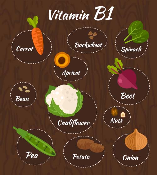 Vitamin with healthy diet vector material 04