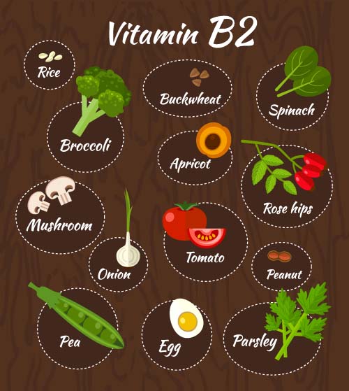 Vitamin with healthy diet vector material 05 Vitamin with healthy diet vector material 05