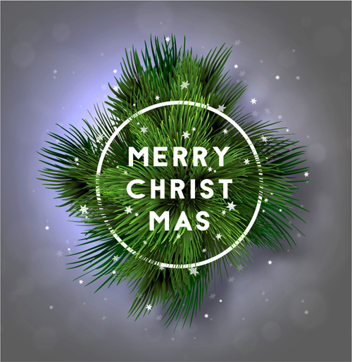 fir christmas branches background 