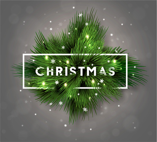 fir christmas branches background 