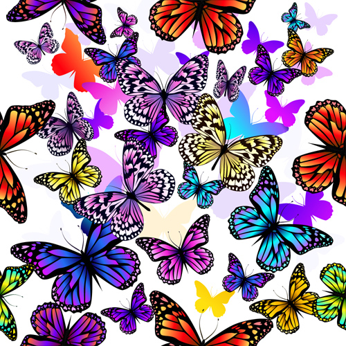 seamless pattern colorful butterflies 