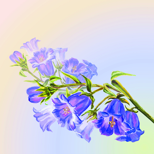 Hand drawn watercolor flower background 05