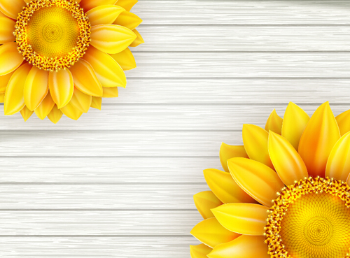 Beautiful sunflowers with wooden background vector 05 Beautiful sunflowers with wooden background vector 05