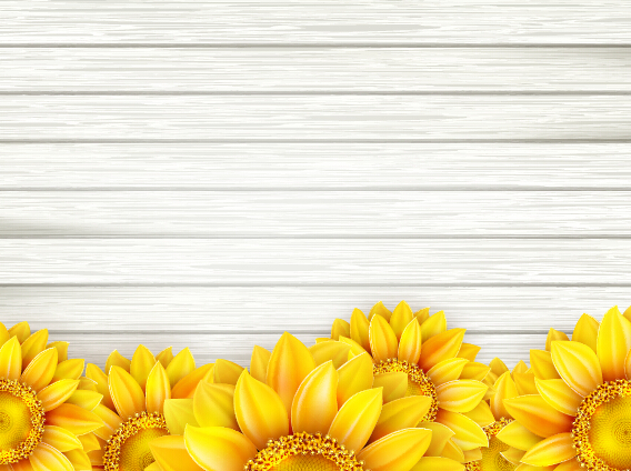 Beautiful sunflowers with wooden background vector 06 Beautiful sunflowers with wooden background vector 06