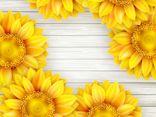 Beautiful sunflowers with wooden background vector 07 Beautiful sunflowers with wooden background vector 07