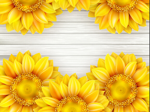 Beautiful sunflowers with wooden background vector 08 Beautiful sunflowers with wooden background vector 08