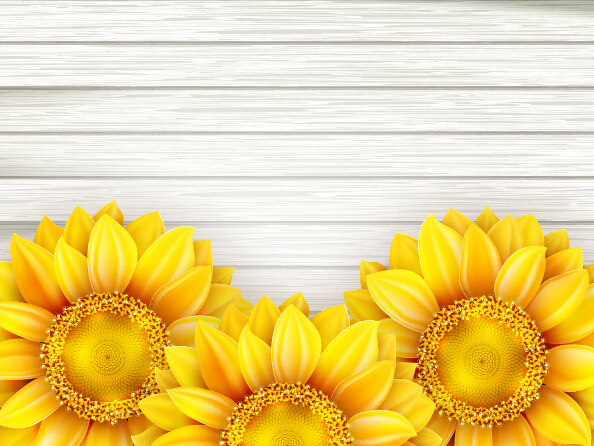 Beautiful sunflowers with wooden background vector 09 Beautiful sunflowers with wooden background vector 09