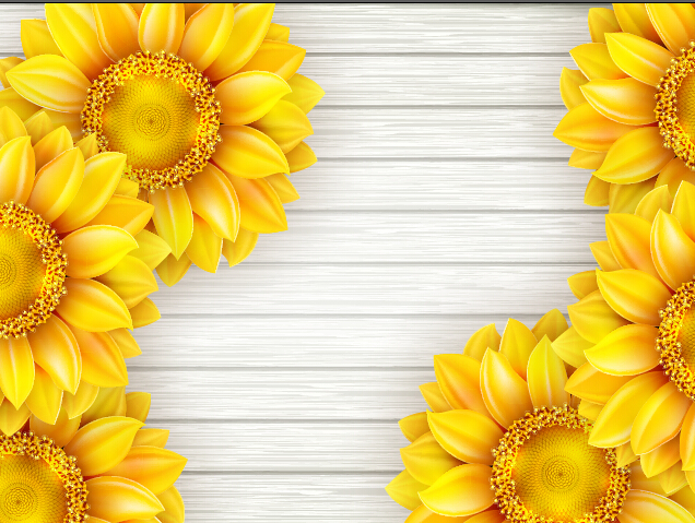 Beautiful sunflowers with wooden background vector 10 Beautiful sunflowers with wooden background vector 10