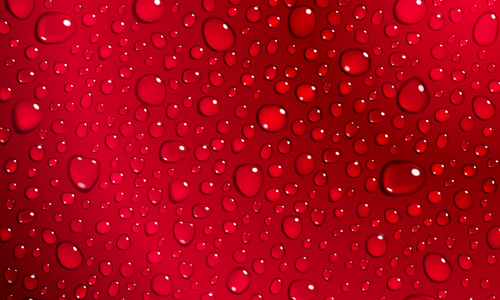 Transparent water drops illustration vector 04 Transparent water drops illustration vector 04