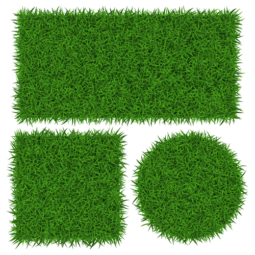 Vector banner green grass design Vector banner green grass design