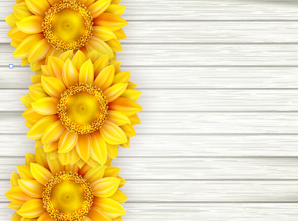Beautiful sunflowers with wooden background vector 01 Beautiful sunflowers with wooden background vector 01