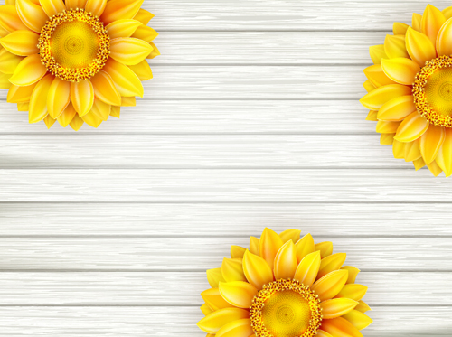 Beautiful sunflowers with wooden background vector 03 Beautiful sunflowers with wooden background vector 03