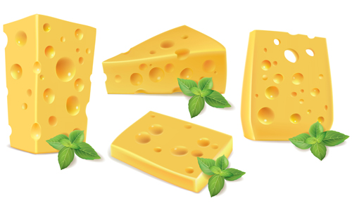 Cheese with green basil vecor Cheese with green basil vecor