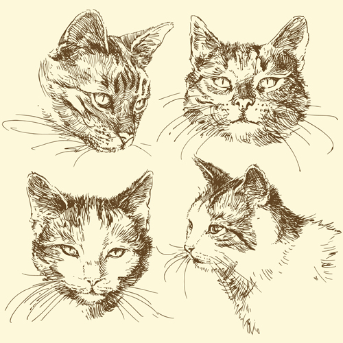 Hand drawn cat head vector material Hand drawn cat head vector material