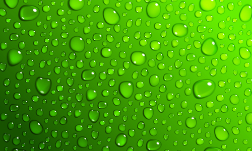Transparent water drops illustration vector 02 Transparent water drops illustration vector 02