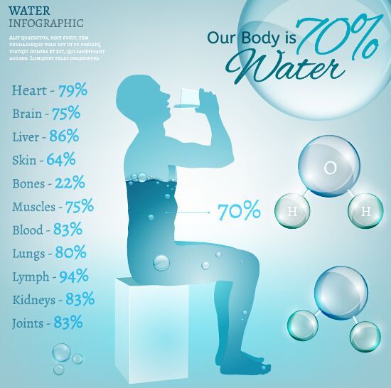 water infographic Human body 