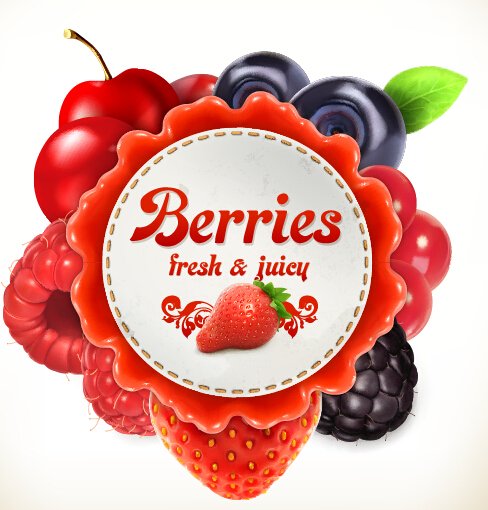 Berries label vector Berries label vector