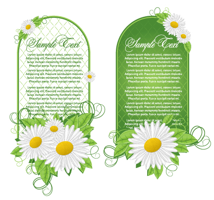 Vector card with white flower Vector card with white flower