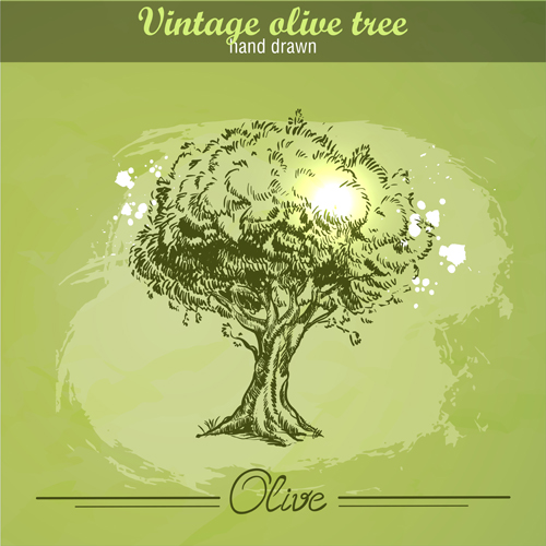 vintage tree olive hand drawn 