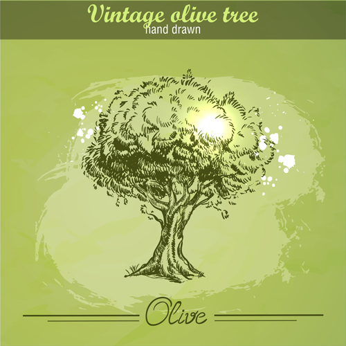 Vintage olive tree hand drawn vector 01 Vintage olive tree hand drawn vector 01