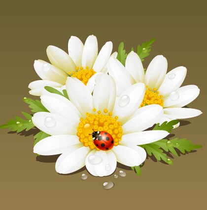 white ladybug flower 