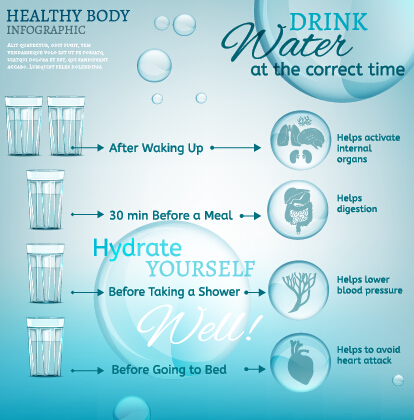 Healthy body infographics vector template 01 Healthy body infographics vector template 01