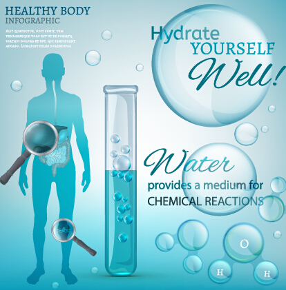 Healthy body infographics vector template 02