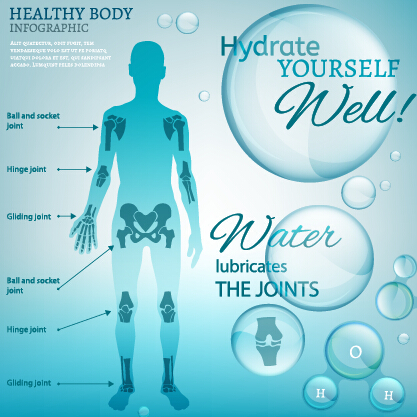 Healthy body infographics vector template 03 Healthy body infographics vector template 03