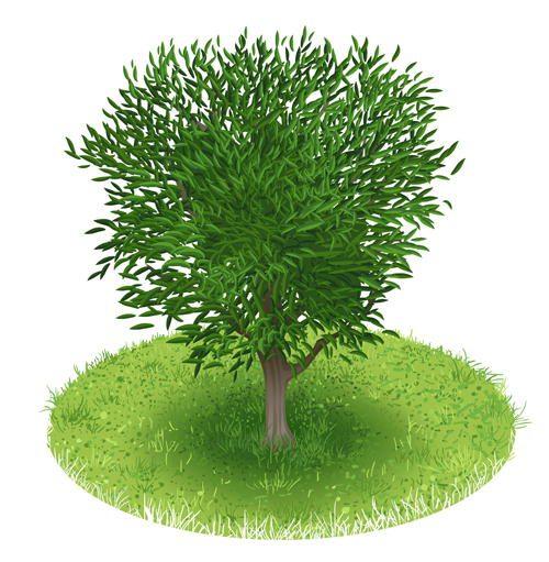 vector graphic tree spring green 