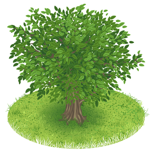 vector graphic tree spring green 
