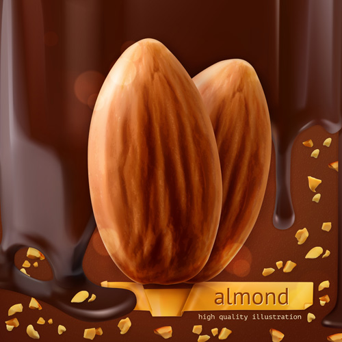 Almond with chocolate background vector material Almond with chocolate background vector material