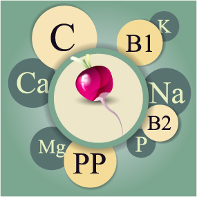 Healthy food with nutrition elements vector 06 Healthy food with nutrition elements vector 06